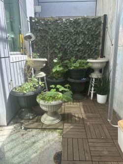 Moving States All Must Be Sold Ask For Price 