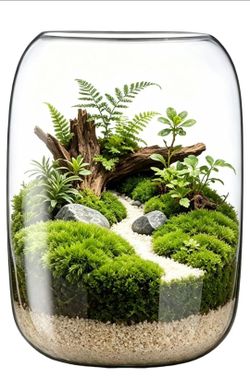 Clear Glass Terrarium Jar, DIY Micro‑Landscape Container, Hydroponic Vase for Succulents