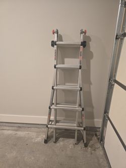 Ladder Little Giant