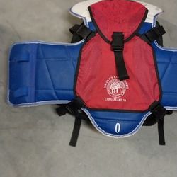 Tae Kwon Do Protective Gear And Back Pack