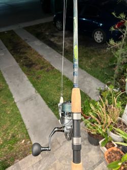 St. Croix Triumph Rod with Shimano reel