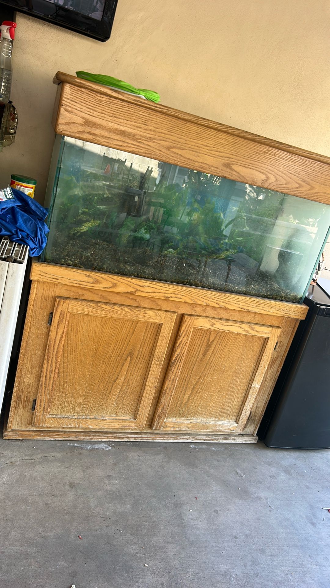 100 Gallons Fish Tank