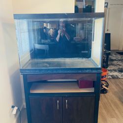 Fish Tank With Stand 56” Tall 37” Wide  55 Gallon