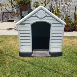 Dog House 