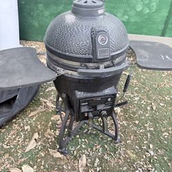 Kamado grill dual gas and charcoal