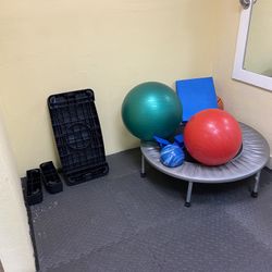 Medicine Balls (3), Steps, Stability Cushion, Bouncing Round 