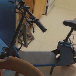 Electric Scooters 