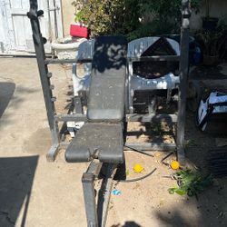 Free Weight Lifting Bench
