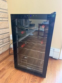 Staigis 24 Bottle Wine Fridge