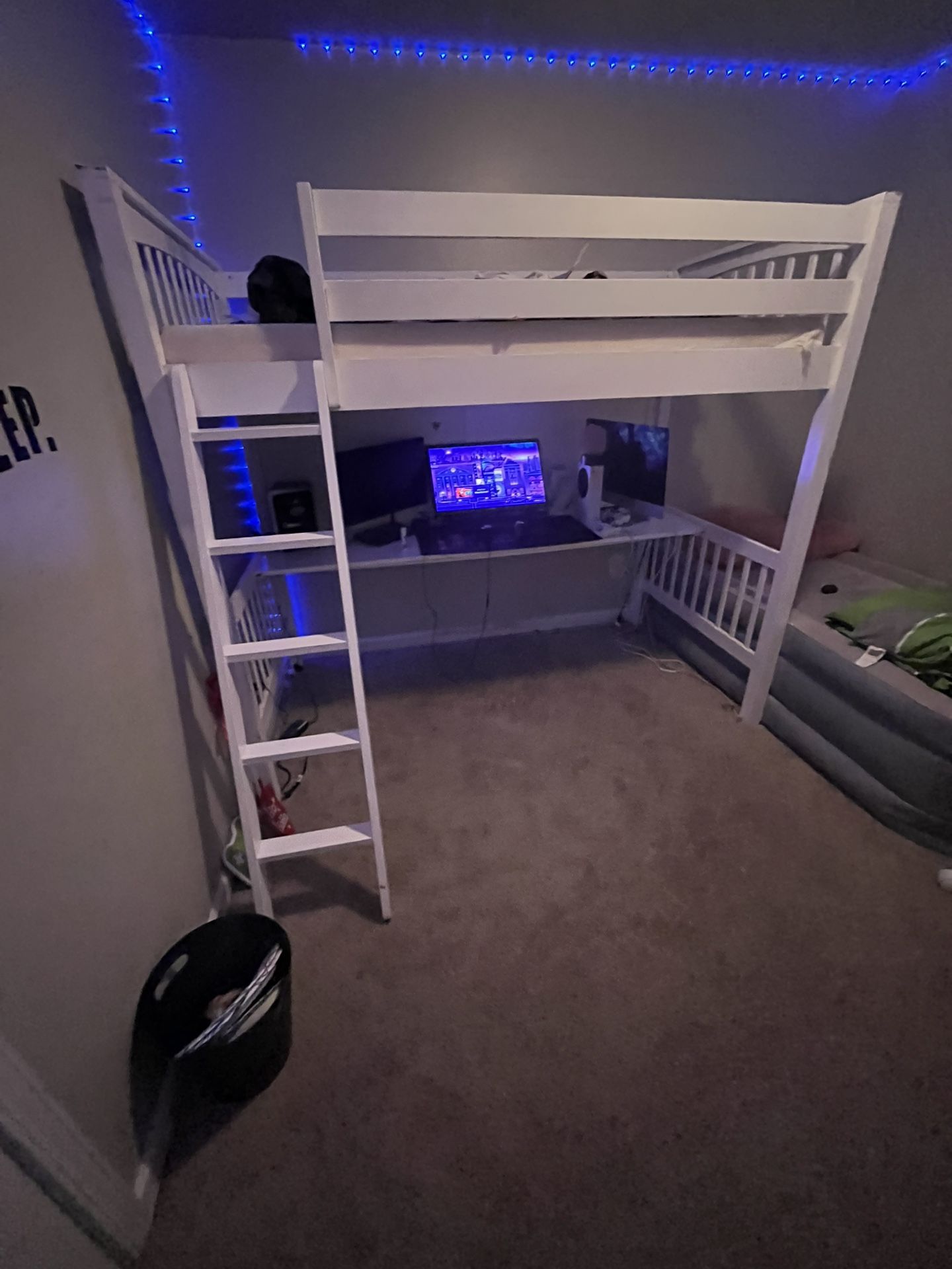 Twin Bed Loft w/desk & ladder