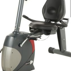 Recumbent Bike