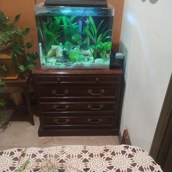 Fish Tank With The Cabinet 