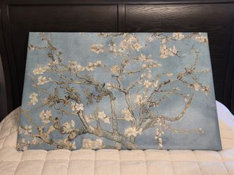 Almond Blossom Canvas