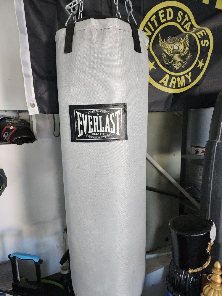Everlast Punching Bag. Boxing Bag