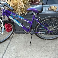 Road Master Mt Sport Bike 24” 