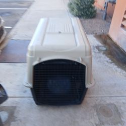 Top Paw Dog Kennel