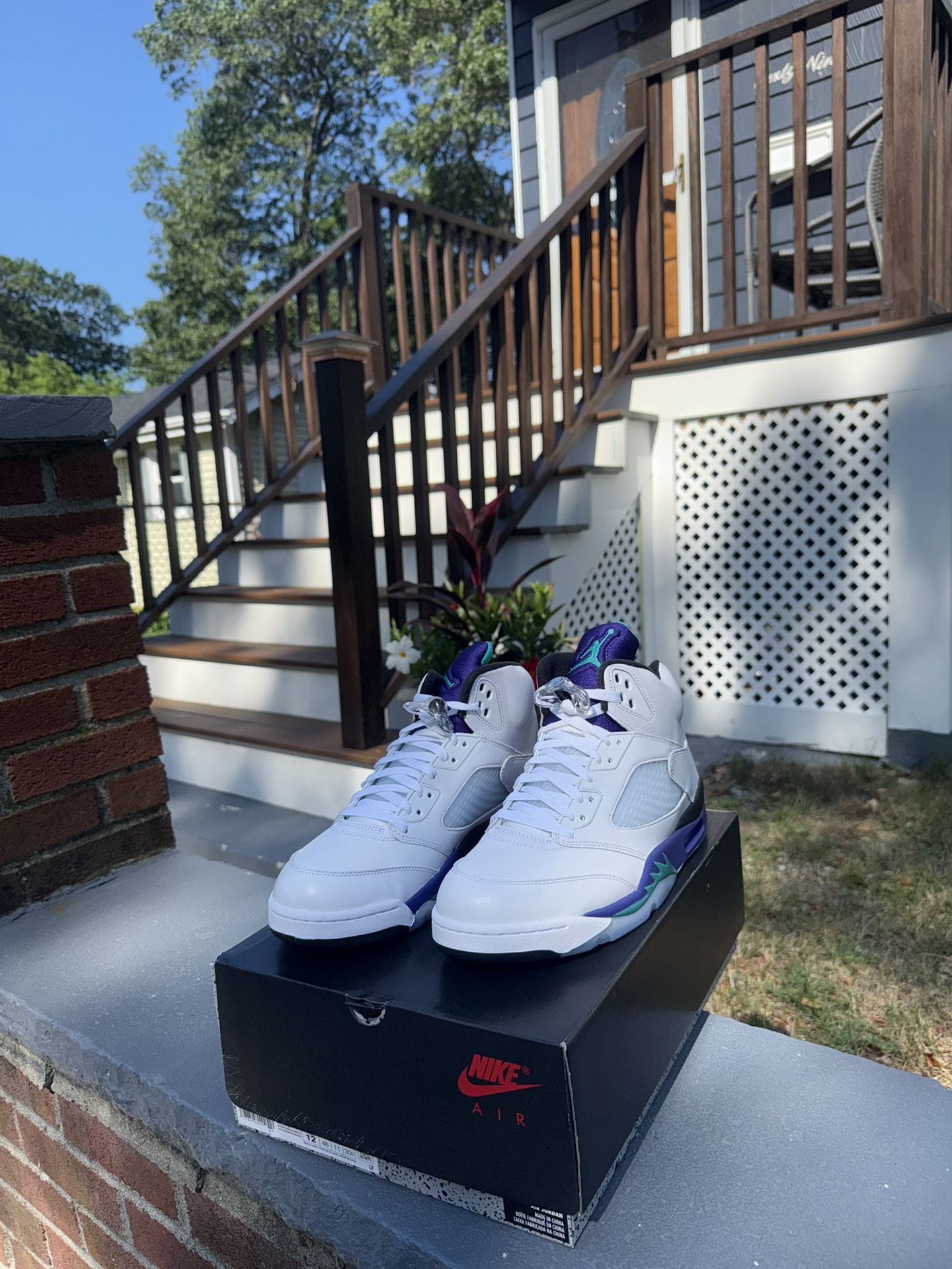 Jordan Grape 5s