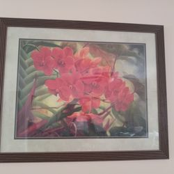 Framed Art artwork pictures various