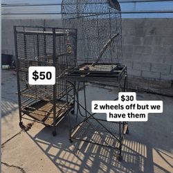 Bird Cages