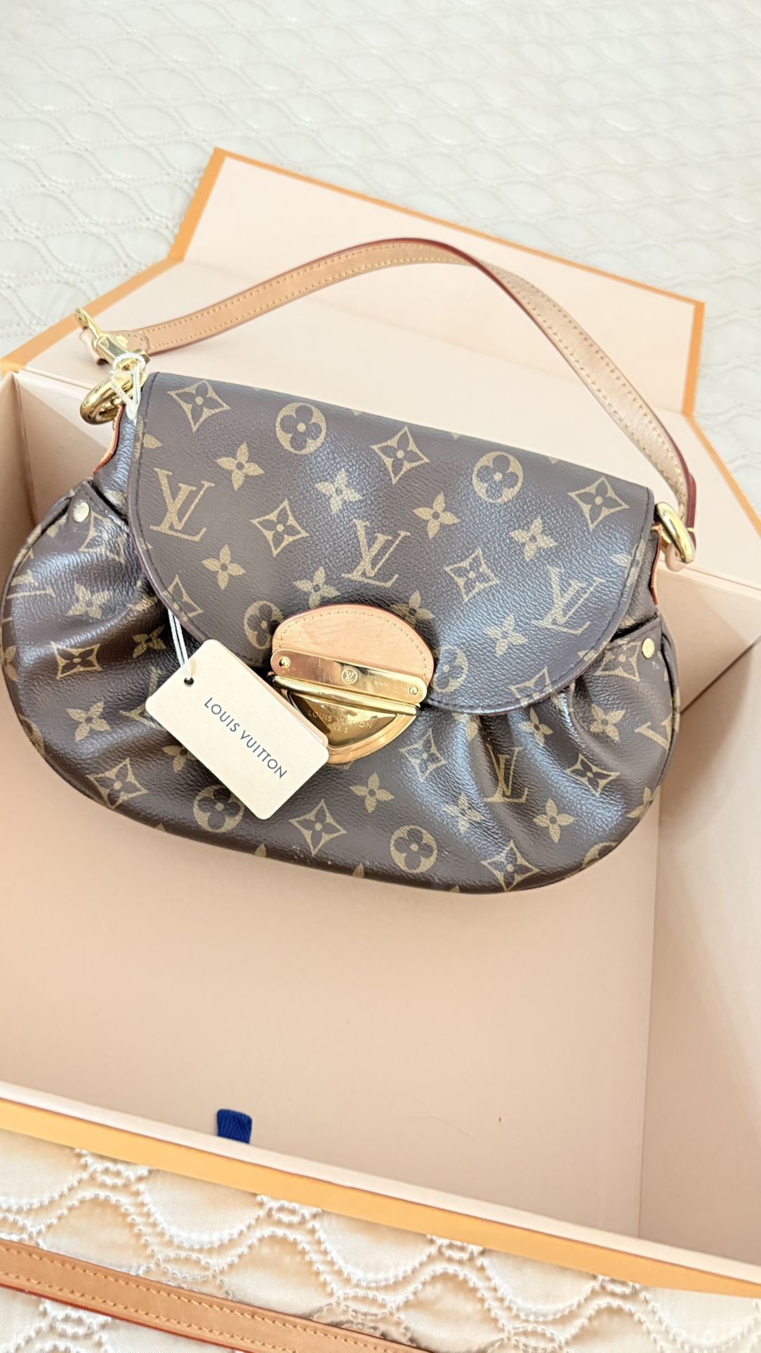 Louis Vuitton Purse 