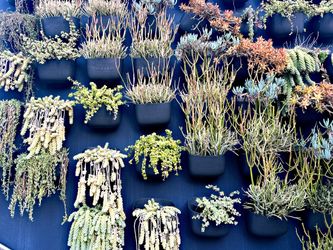 WallyGrow Eco Mountable Wall Planters