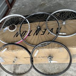 Five Assorted Bicycle Wheels $10 