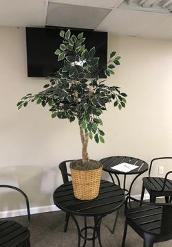 Office Artificial tree