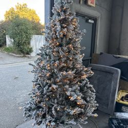 7.5ft Pre-lit Christmas Trees! 🎄 3 Kinds
