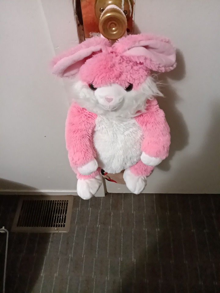 Bunny Back Pack