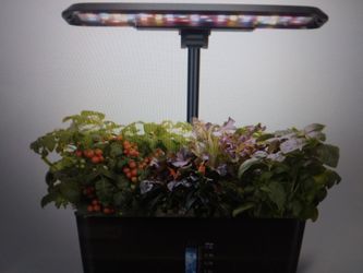 Indoor hydroponic garden with LED grow light