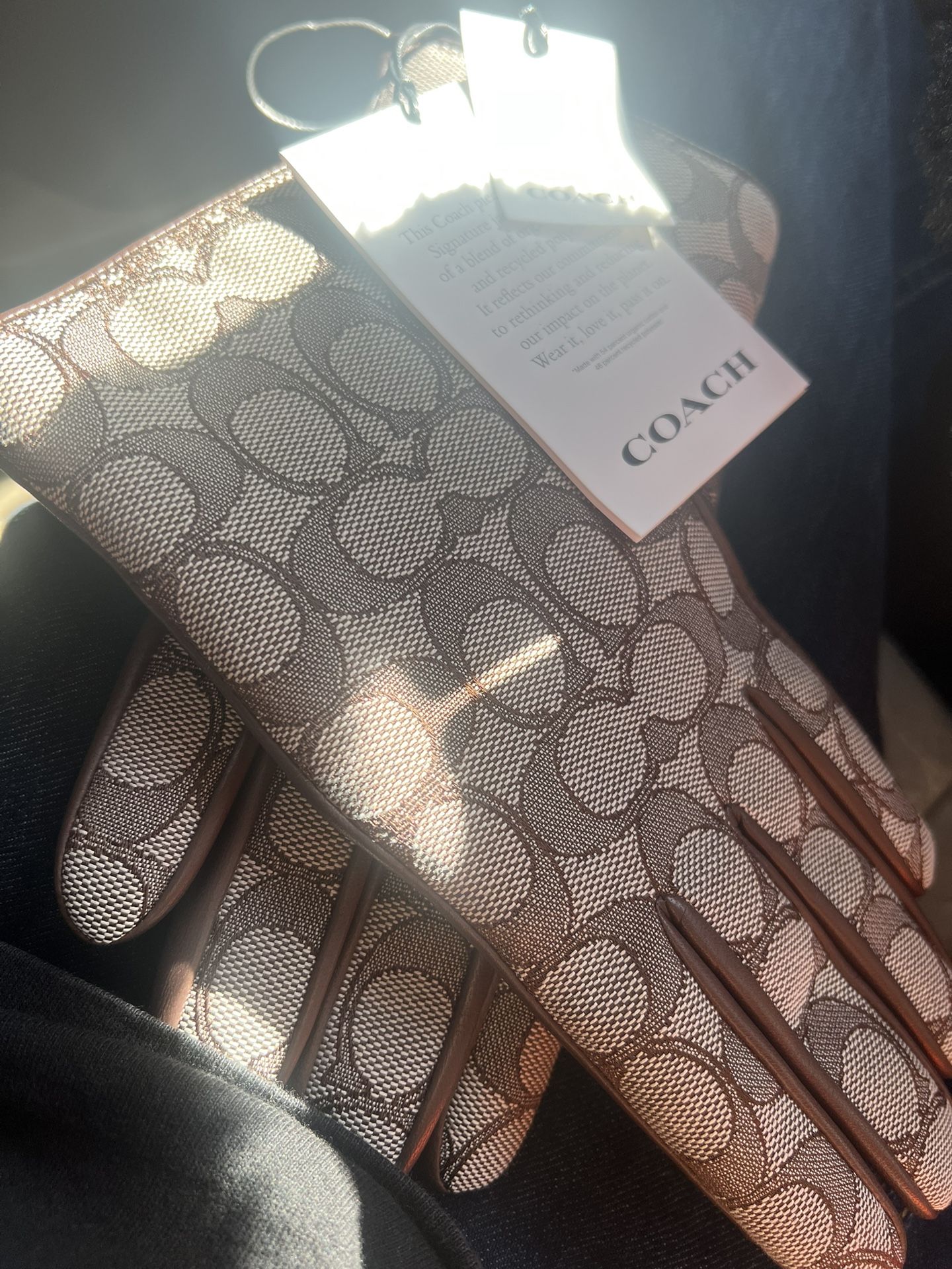 Coach Gloves