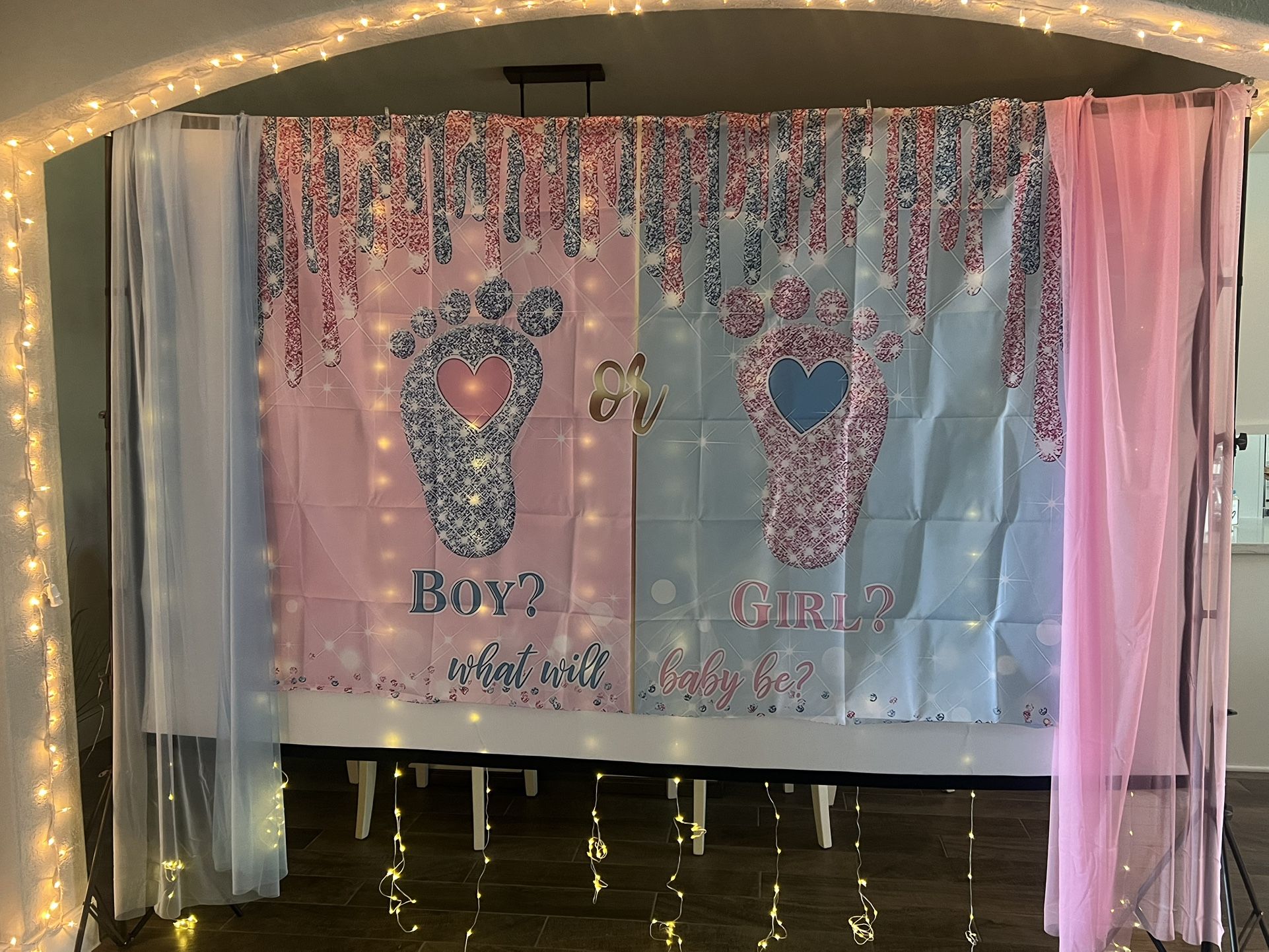 Gender Reveal Party Products (screen to hold decor not included)