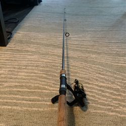 Daiwa Fishing Rod