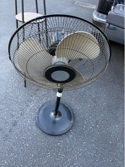 Fan