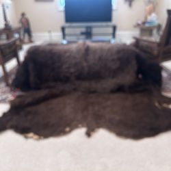 Bison  Animal Hair-on-Hide Skin (Large Rug/Wall/Decorative)