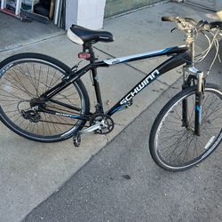 Adult bike