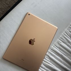 Rose Gold iPad 7th Generation
