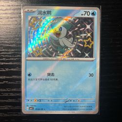 Quaxly 0506 CBB1C