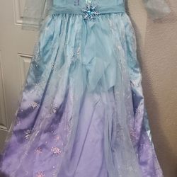 Elsa Dress/Halloween Costume 