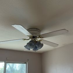 Ceiling Fan