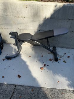 Free work out bench