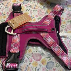 XLarge Harnessed New