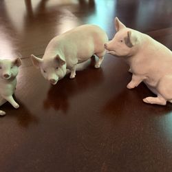 English Porcelain Pig Figurines (3) by John Aynsley