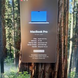 Apple MacBook Pro M1 Pro 16GB 512GB (I take offers)