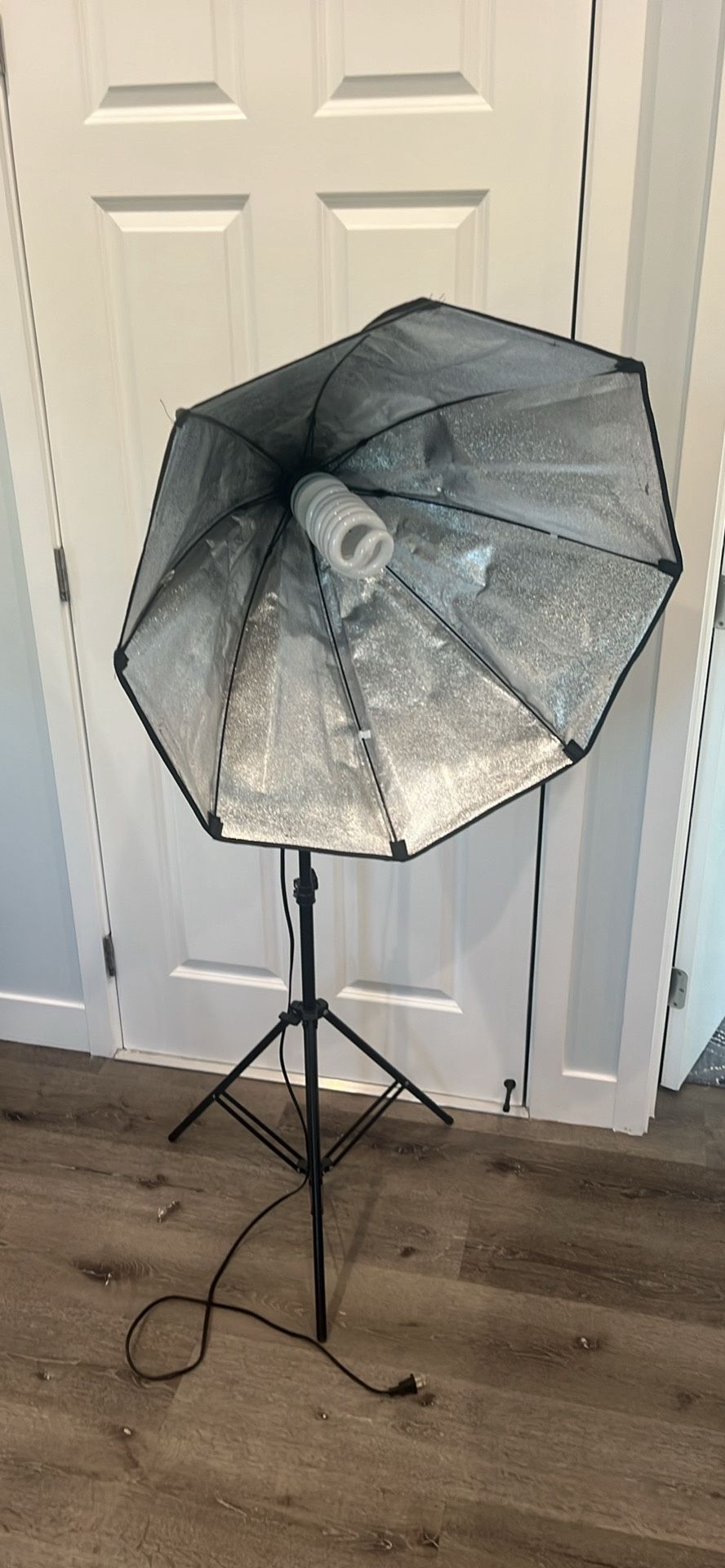 Large Lomtap Studio Lamp Light