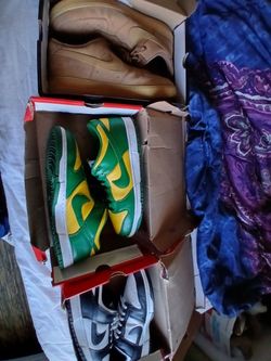 Nike Air Dunk Low Size 14
