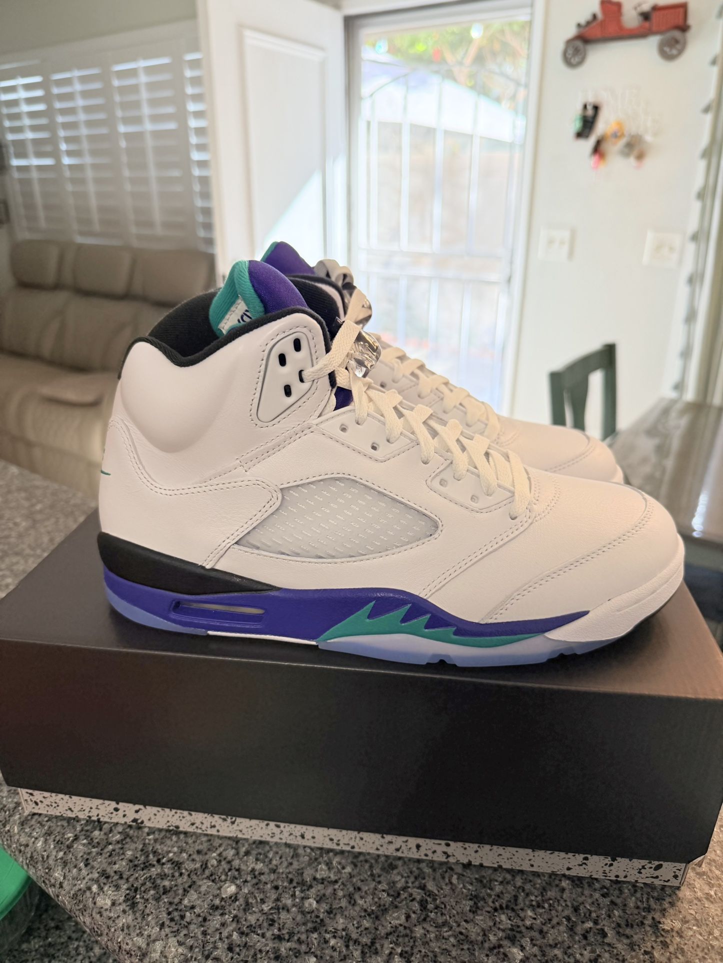 Jordan 5 Grape Mens Size 10.5