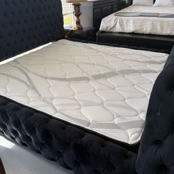 Incredible TV Beds Only @ FURNITURE LOVE ❤️ Same Day Delivery 🚚 