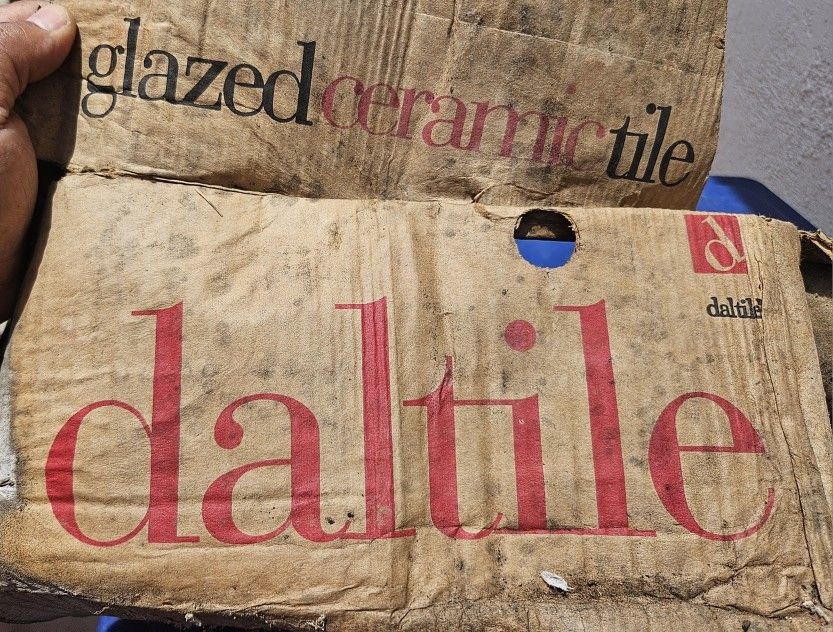 DalTile 6x6 SilverSage SemiGloss