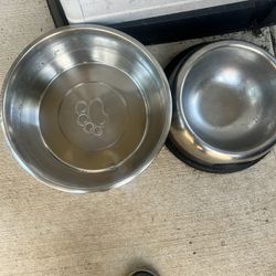 Dog Stuff